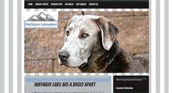 Desktop Screenshot of hufflabs.com